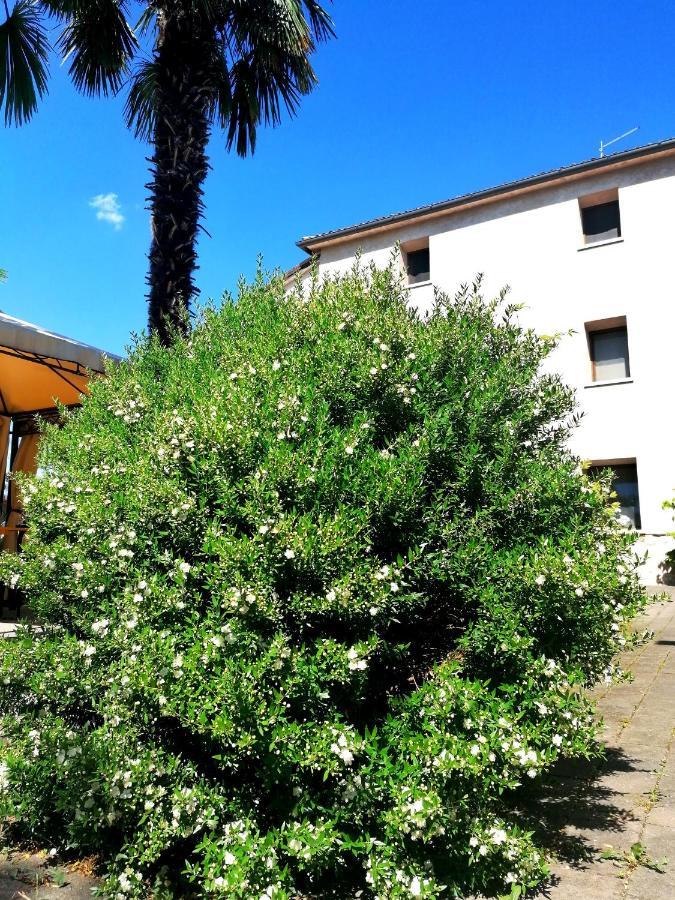 Agriturismo Da Andreina Borso del Grappa Kültér fotó
